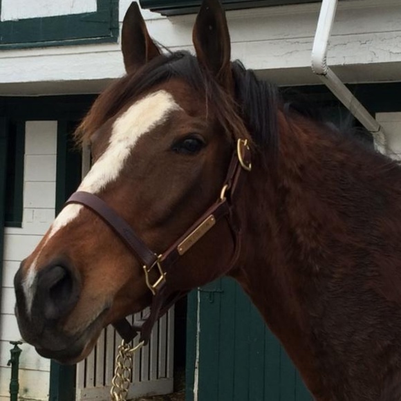 Meet your Posher, Marianne - Picture 3 of 11